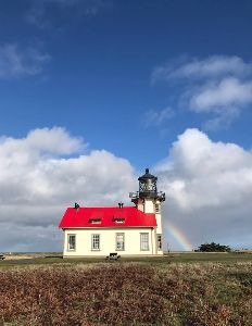 Point Cabrillo Whale Festival