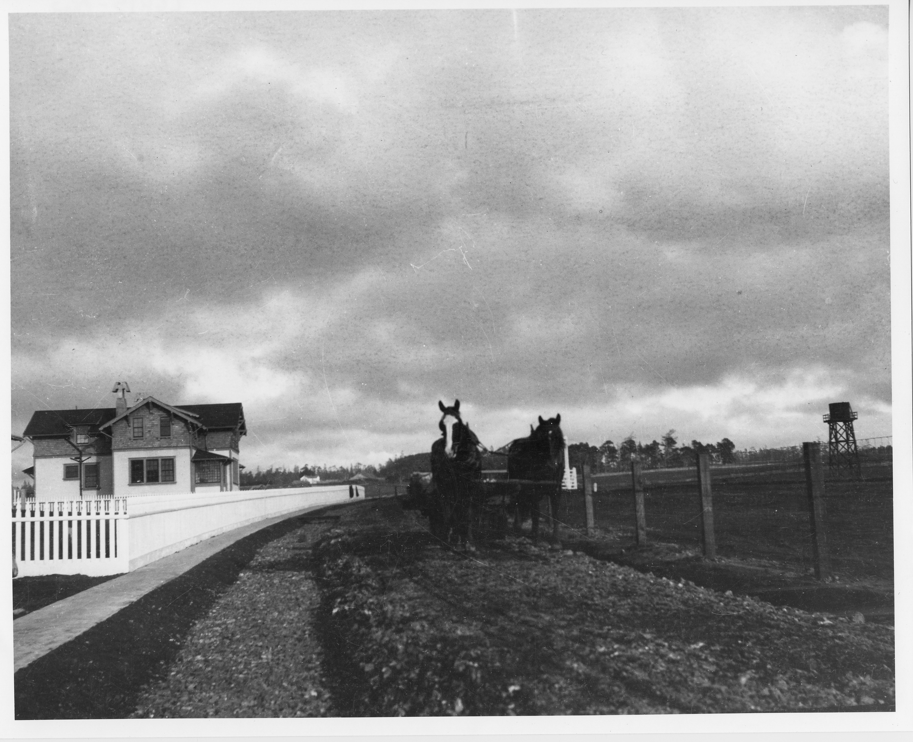 1910, Horses at Point Cabrillo