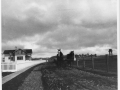 1910, Horses at Point Cabrillo