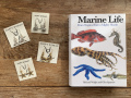 marinelife