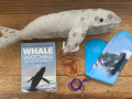 whale-watching-gift-shop-package