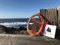 whales-at-point-cabrillo