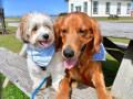 Sunny and Charlie