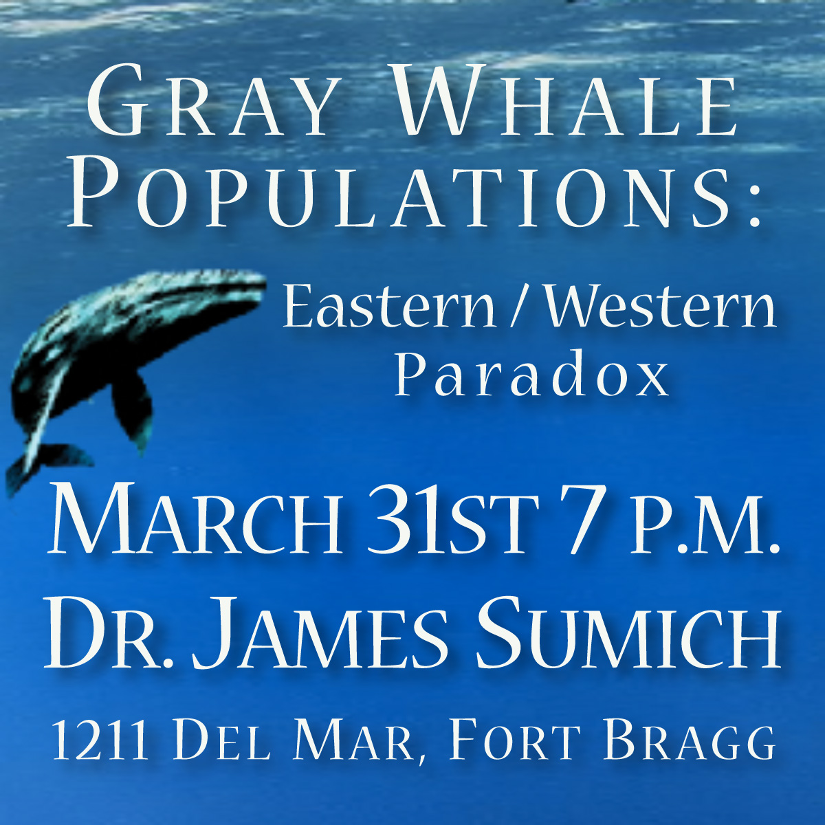 Learn About Whales!